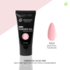 Powder Gel UV/LED 30G #10 (CH004)